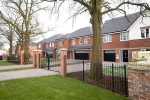 chestnut shadwell 15 sm.jpg
